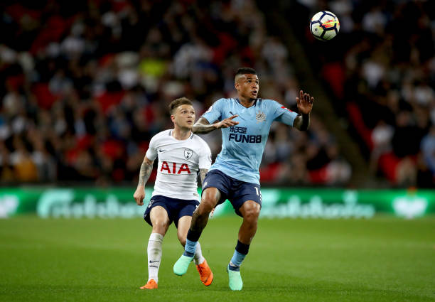 可能会显得 可能会显得